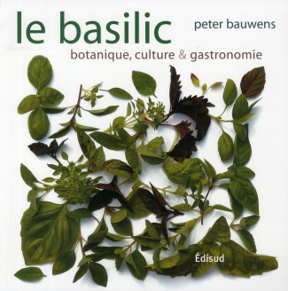 BASILIC