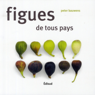 FIGUES DE TOUS PAYS