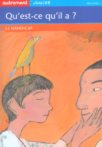 Qu'est-ce qu'il a ? Le handicap