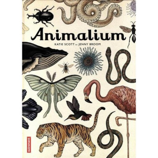 Animalium