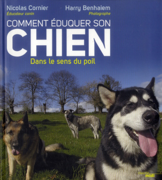 Comment éduquer son chien dans le sens du poil