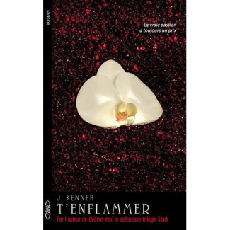 Te désirer Tome 2 : T'enflammer