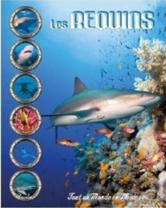 Les requins