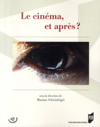Le cinéma, et après ?