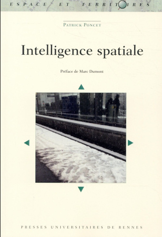 Intelligence spatiale