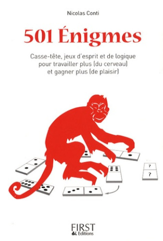 501 Enigmes. Casse-tête, jeux d'esprit et de logique pour travailler plus (du cerveau) et gagner plu