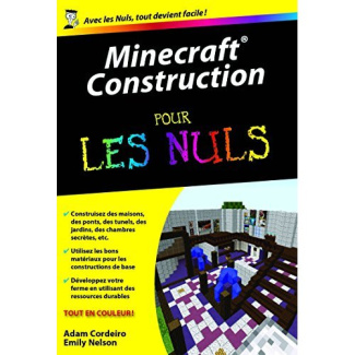 Minecraft construction pour les nuls