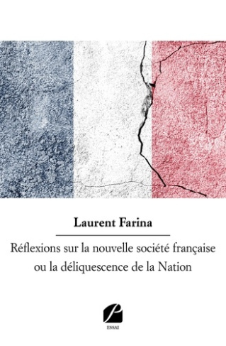 Réflexions sur la nouvelle société française ou la déliquescence de la Nation