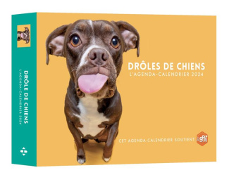 L'agenda-calendrier Drôles de chiens. Edition 2024