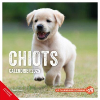 Calendrier mural Chiots. Edition 2025