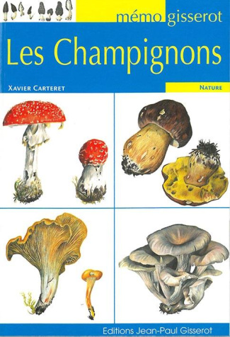 Mémo - Les champignons