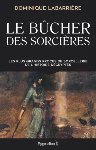 Le bûcher des sorcières. Les plus grands procès de sorcellerie de l'histoire décryptés