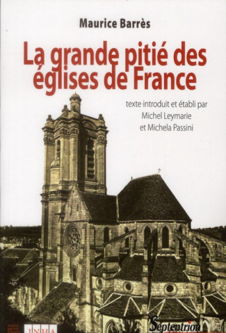 La grande pitié des églises de France