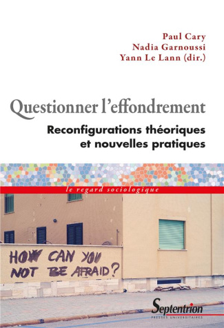 Questionner l'effondrement. Reconfigurations théoriques et nouvelles pratiques