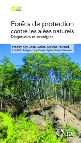 FORETS DE PROTECTION CONTRE LES ALEAS NATURELS - DIAGNOSTICSET STRATEGIES