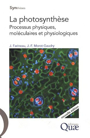 LA PHOTOSYNTHESE. PROCESSUS PHYSIQUES, MOLECULAIRES ET PHYSIOLOGIQUES