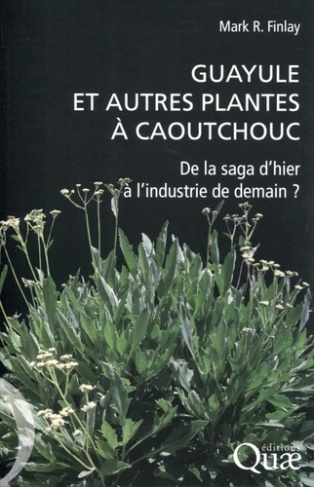 GUAYULE ET AUTRES PLANTES A CAOUTCHOUC. DE LA SAGA D'HIER A L'INDUSTRIE DE DEMAIN ?