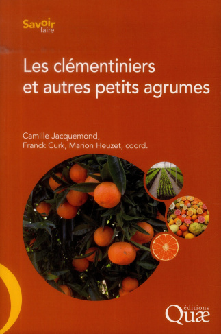 LES CLEMENTINIERS ET AUTRES PETITS AGRUMES.