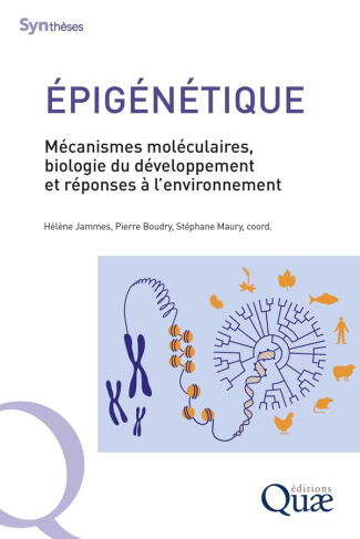 EPIGENETIQUE - MECANISMES MOLECULAIRES, BIOLOGIE DU DEVELOPPEMENT ET REPONSES A L'ENVIRONNEMENT