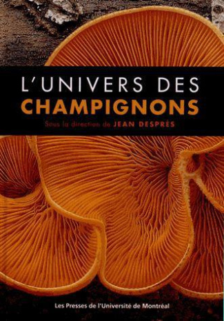 L'univers des champignons