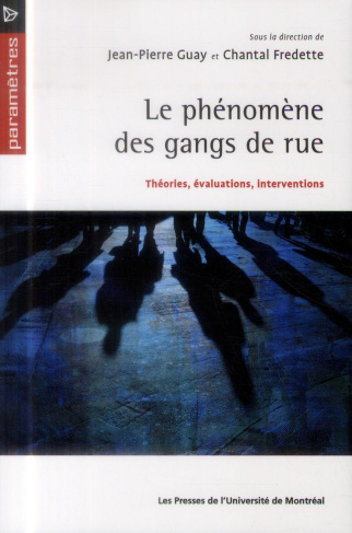 Le phénomène des gangs de rues. Théories, évaluations, interventions