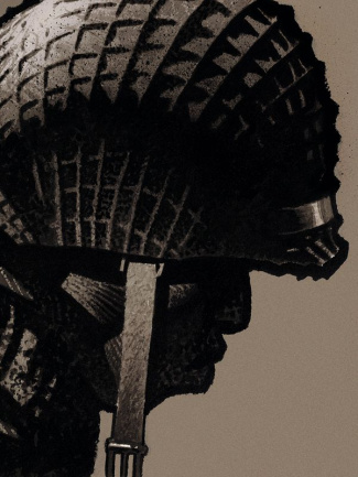 Cinq branches de coton noir. Edition de luxe