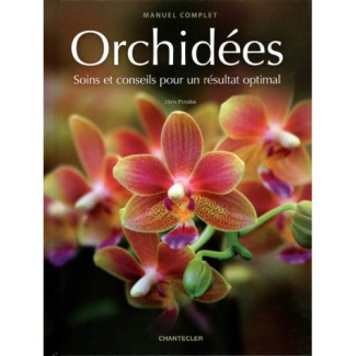 Orchidées. Soins et conseils pour un résultat optimal