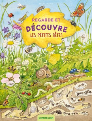 Les petites bêtes. Regarde et découvre