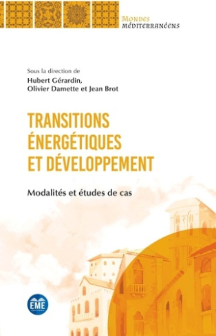 Transitions énergétiques et développement. Modalités et études de cas