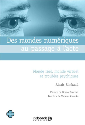 Des mondes numériques au passage à l'acte. Monde réel, monde virtuel et troubles psychiques