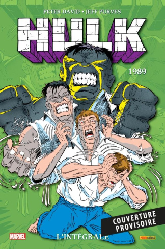 Hulk L'intégrale : 1989