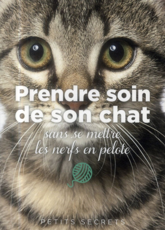 Prendre soin de son chat sans se mettre les nerfs en pelote