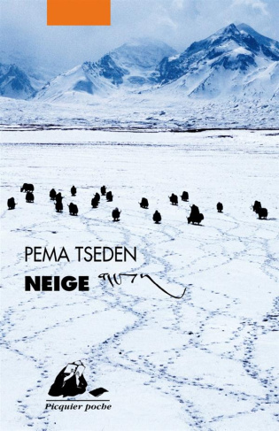 Neige. Nouvelles du Tibet
