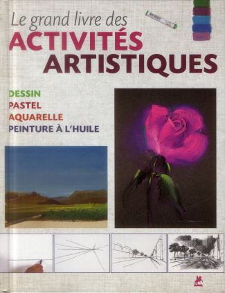 Le grand livre des activités artistiques