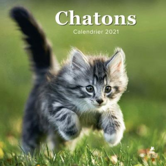 Chatons. Edition 2021