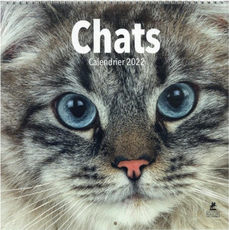 Calendrier Chats. Edition 2022