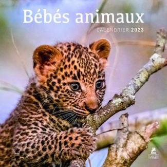 Calendrier bébés animaux. Edition 2023