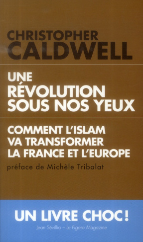 Une révolution sous nos yeux. Comment l'Islam va transformer l'Europe et la France