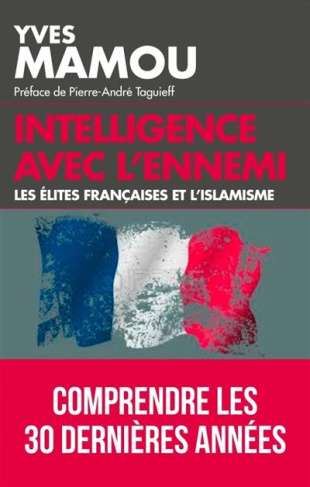 Le grand abandon. Les élites françaises et l'islamisme