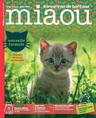 Miaou N° 20