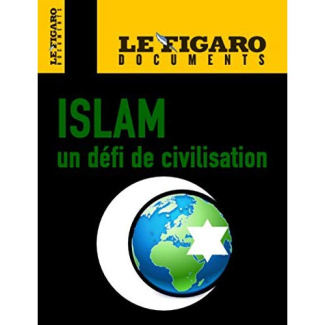 Islam. Un défi de civilisation