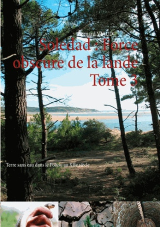 SOLEDAD - T03 - FORCE OBSCURE DE LA LANDE - TERRE SANS EAU DANS LE POITOU AU XIIE SIECLE
