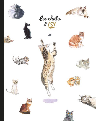 Les chats d'Isy. Cahier Noir