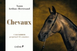 Chevaux