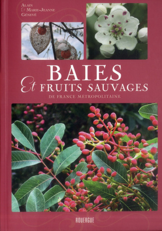 Baies et fruits sauvages de France métropolitaine