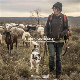 Terres pastorales. Diversité et valeurs des milieux ouverts méditerranéens