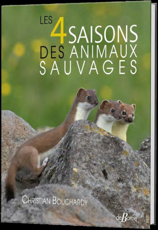 Les 4 saisons des animaux sauvages