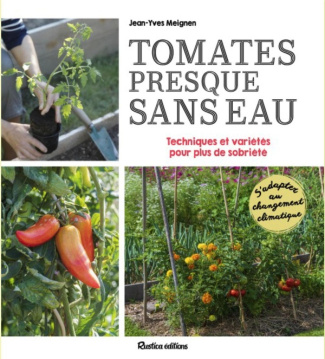 Tomates presque sans eau. Conseils, astuces et variétés pour plus de sobriété