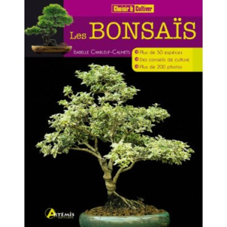 Les bonsaïs
