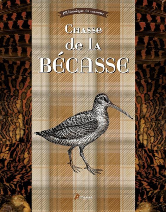 Chasse de la bécasse